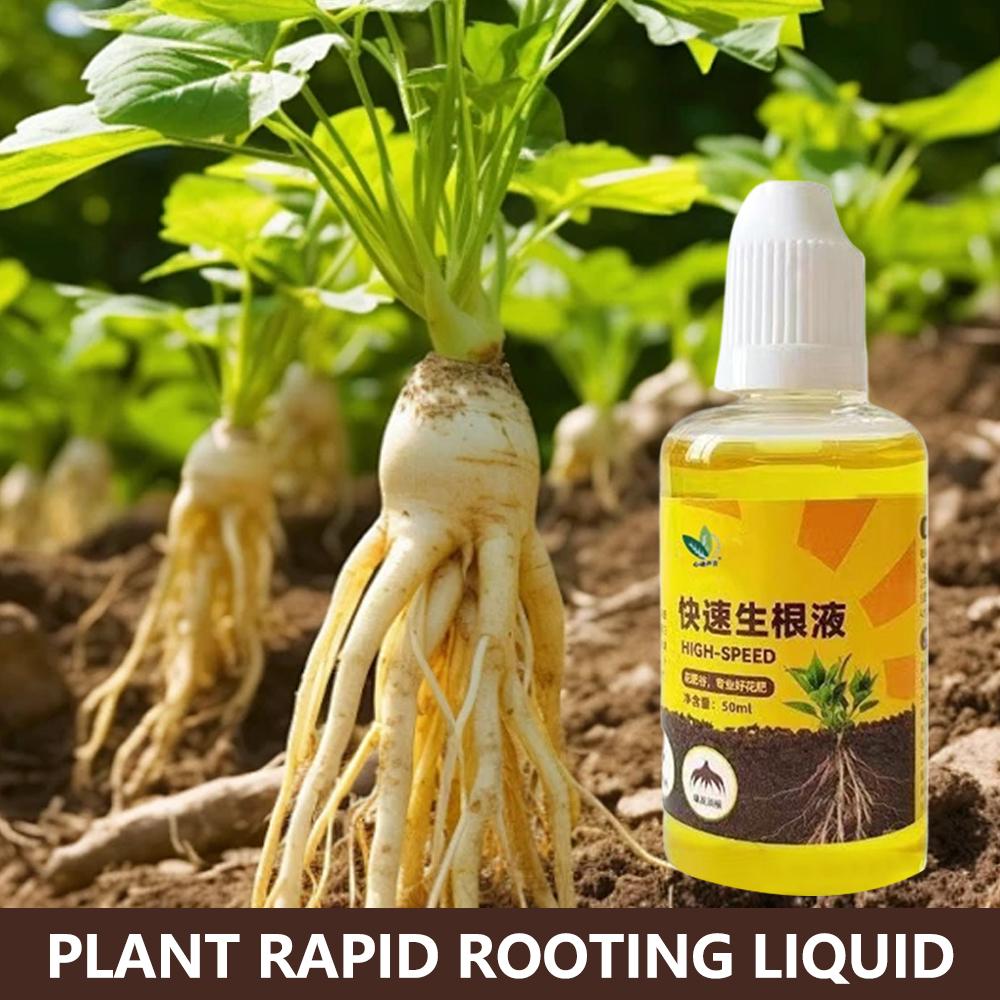 محفز جذر النباتات الخضراء قطع  - مراجعة Root Stimulator Liquid وسعره